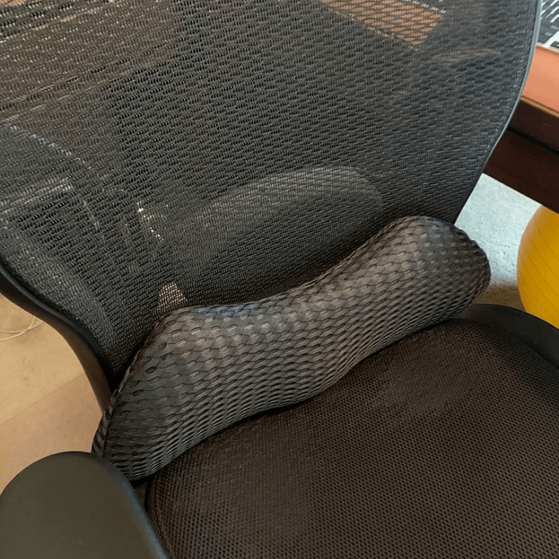 RoamEase Lumbar Support Pillow