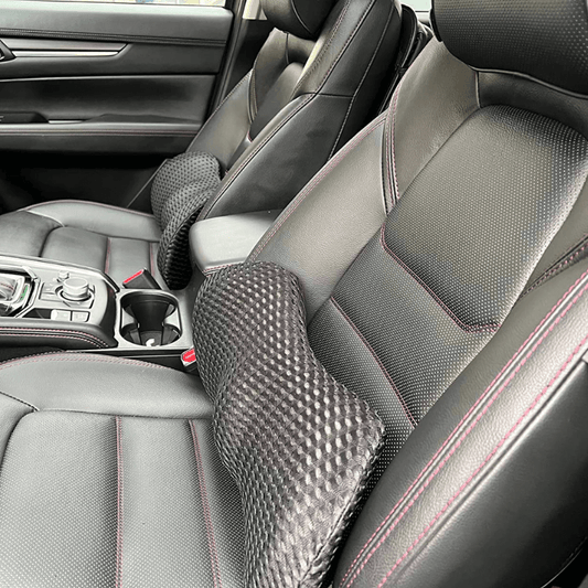 RoamEase Lumbar Support Pillow