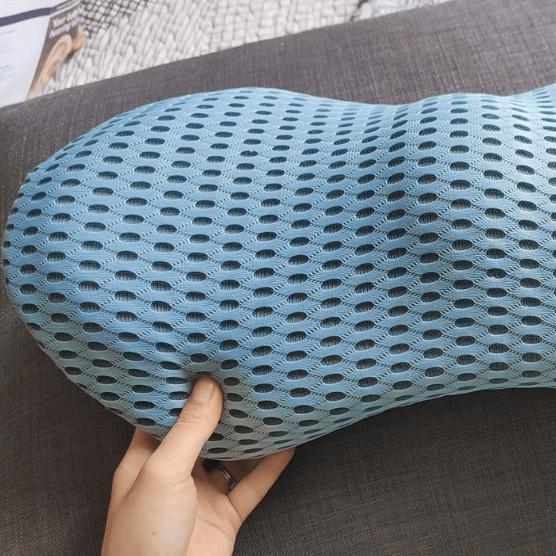 RoamEase Lumbar Support Pillow